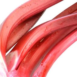 Cây đại hoàng Cây đại hoàng
