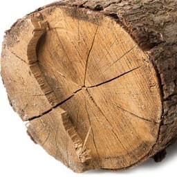 Gỗ trắng Gỗ trắng