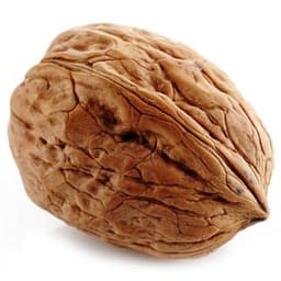 Hạt óc chó Hạt óc chó