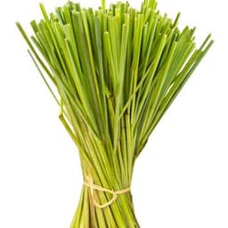 Cây sả chanh Cây sả chanh