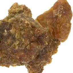Một dược Một dược