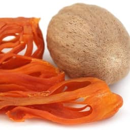 Hoa Nhục Đậu Khấu Hoa Nhục Đậu Khấu