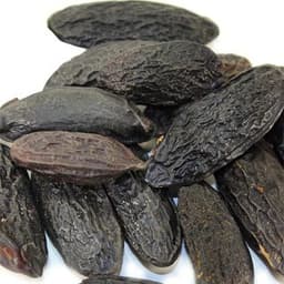 Đậu Tonka Đậu Tonka