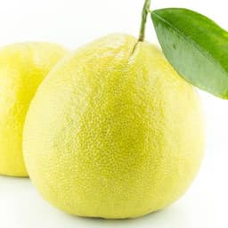 Cam Bergamot Cam Bergamot